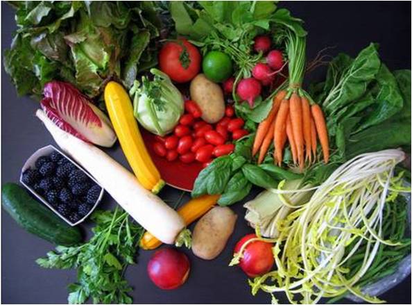 Comida orgánica no es tan nutritiva como piensas Solonosotrascom Comida orgánica no es tan nutritiva como piensas Solonosotrascom